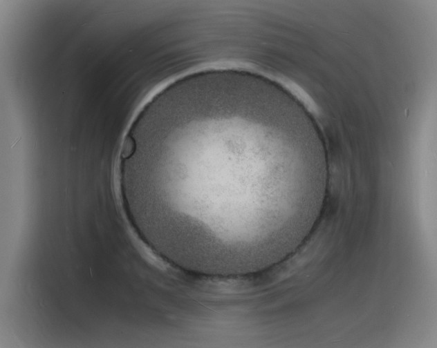 X0000116140895200911231308