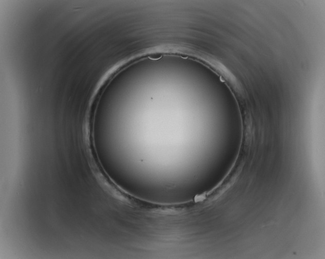 X0000116140896200911231308