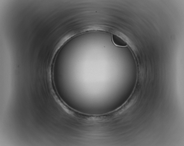 X0000116140898200911231308