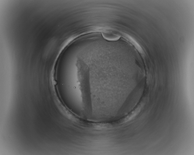 X0000116140899200911231308