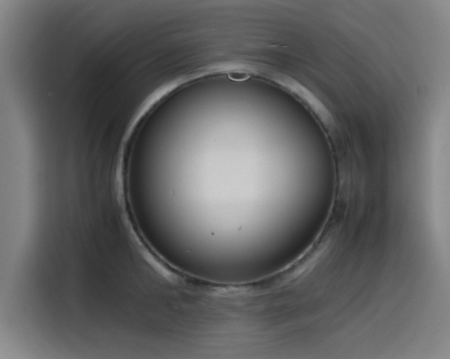 X0000116140902200911231308