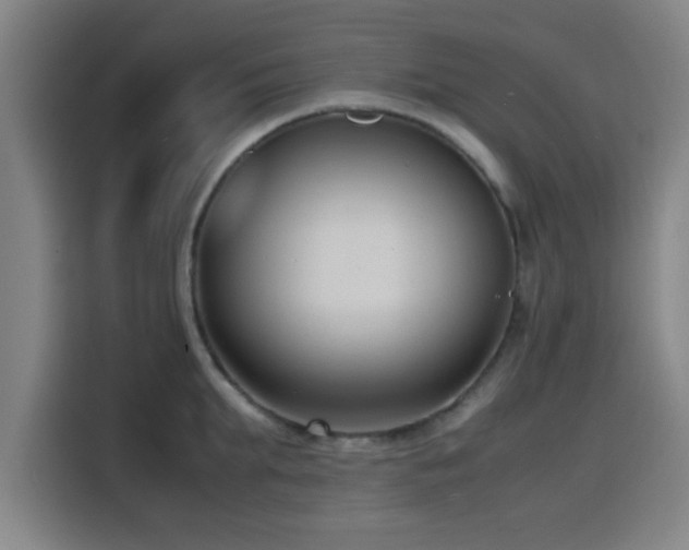 X0000116140903200911231308