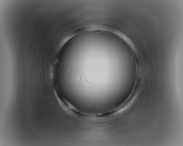 X0000116140905200911231308