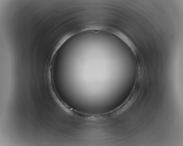 X0000116140906200911231308