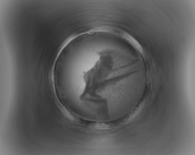 X0000116140907200911231308