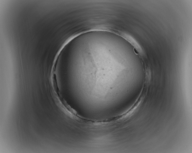 X0000116140908200911231308