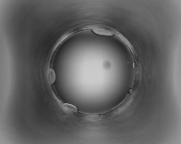 X0000116140909200911231308