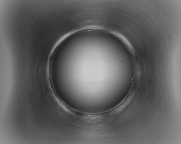 X0000116140910200911231308