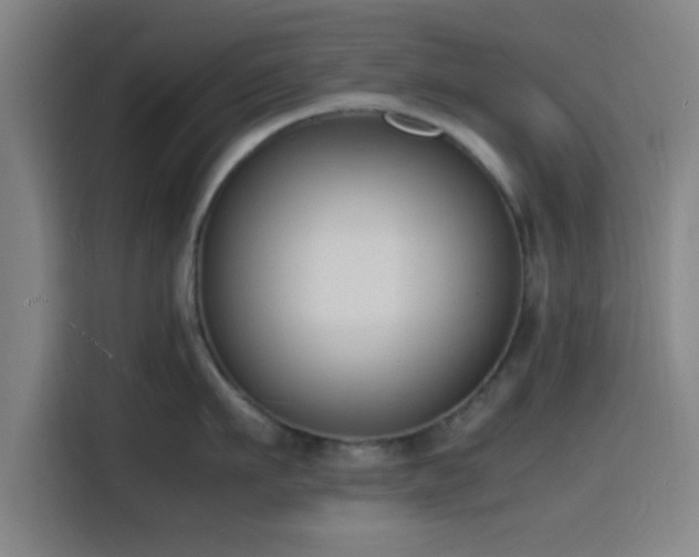 X0000116140911200911231308