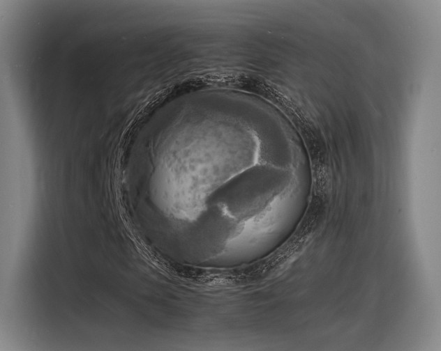 X0000116140913200911231308
