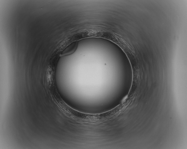 X0000116140914200911231308