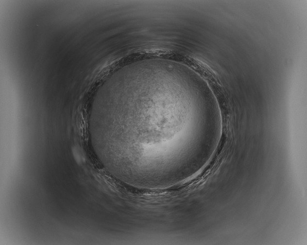 X0000116140917200911231308