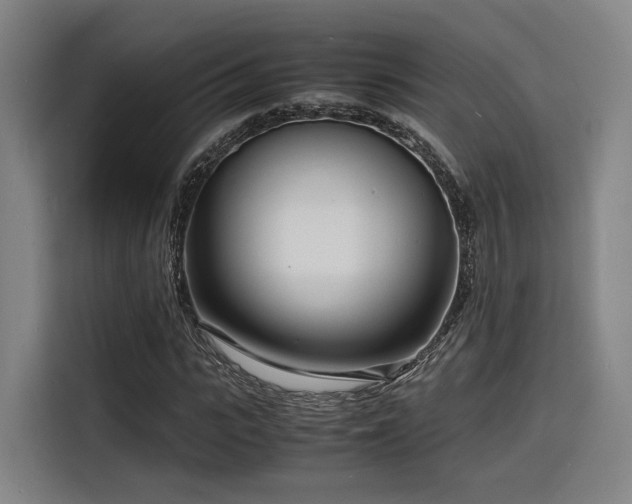 X0000116140919200911231308