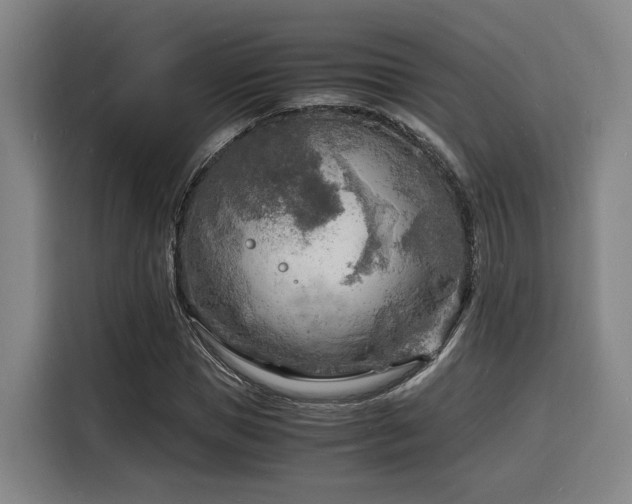 X0000116140921200911231308