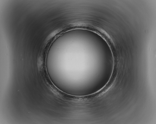 X0000116140922200911231308