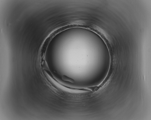X0000116140923200911231308