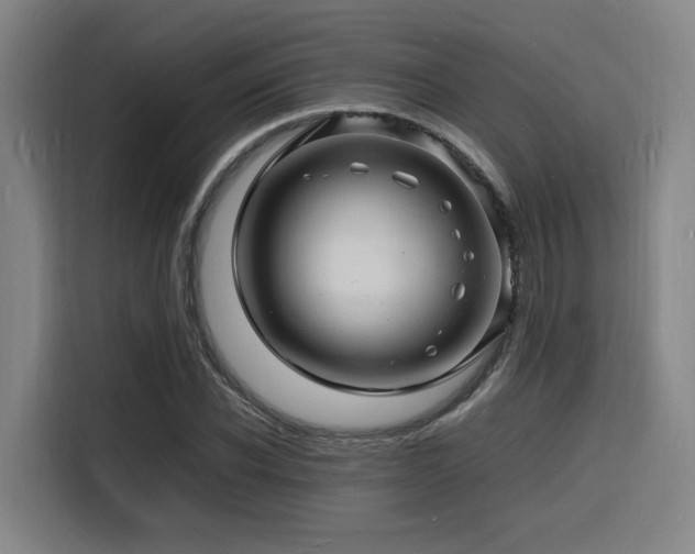 X0000116140926200911231308