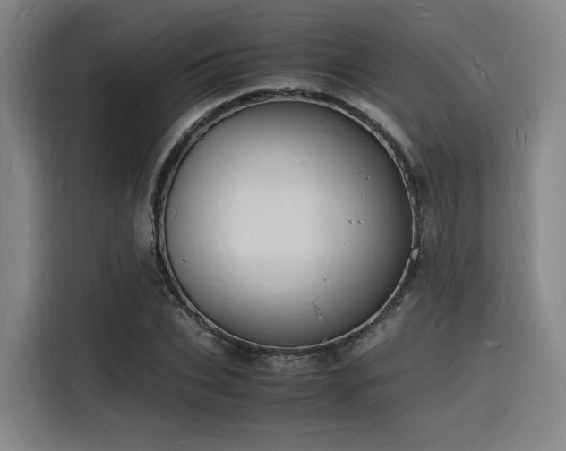 X0000116140927200911231308