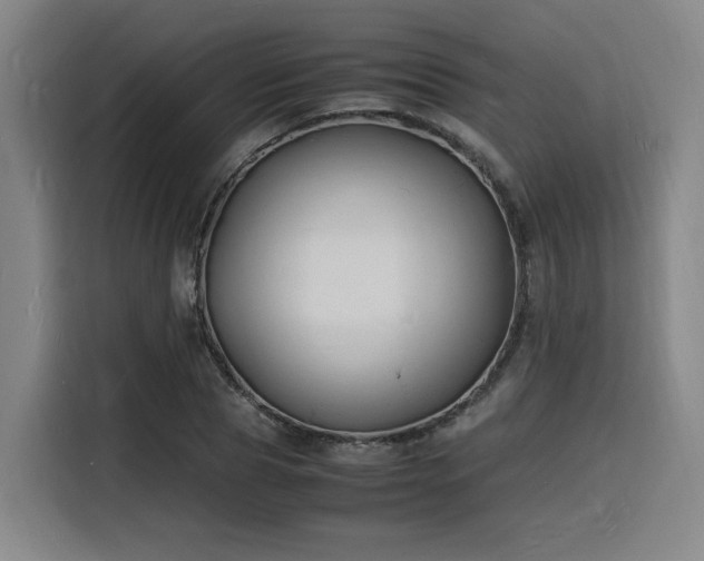 X0000116140929200911231308