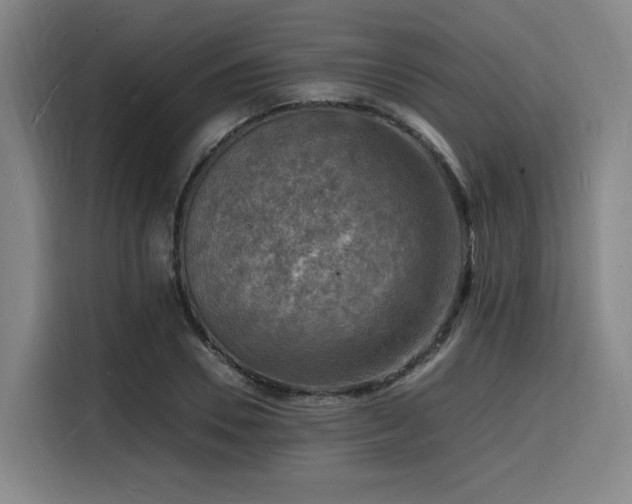 X0000116140930200911231308
