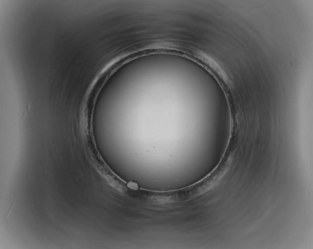 X0000116140931200911231308