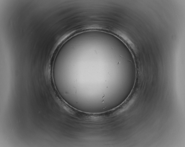 X0000116140933200911231308