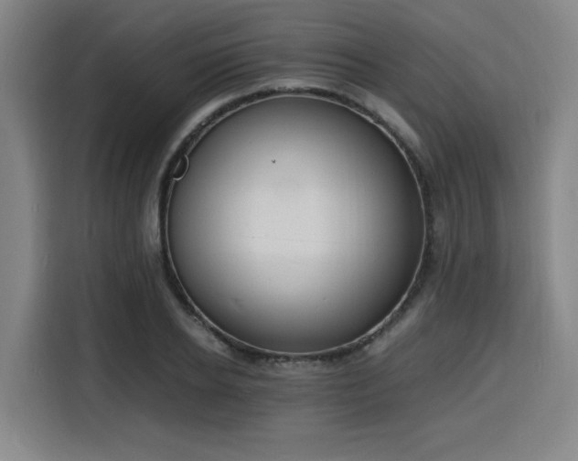 X0000116140934200911231308