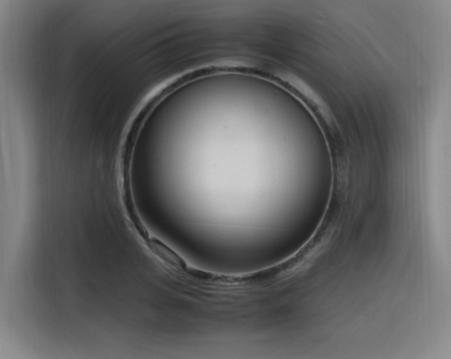 X0000116140935200911231308