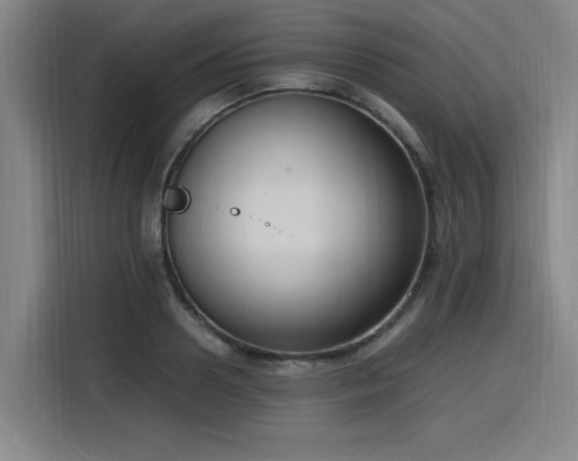 X0000116140938200911231308