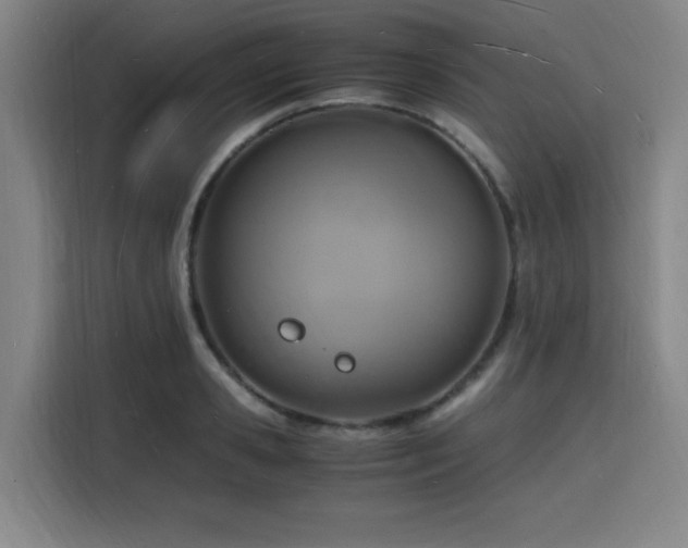 X0000116140941200911231308