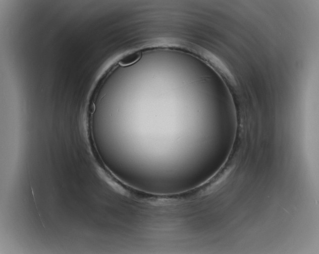 X0000116140942200911231308