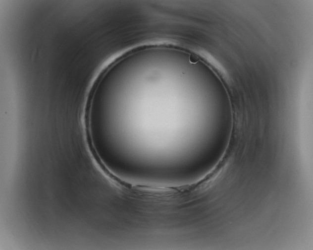 X0000116140943200911231308