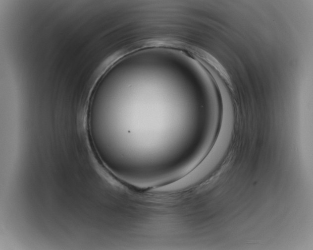 X0000116140946200911231308