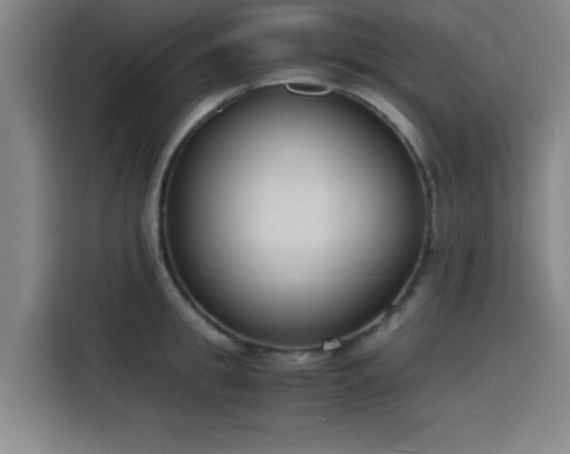 X0000116140949200911231308