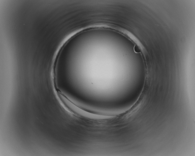X0000116140951200911231308
