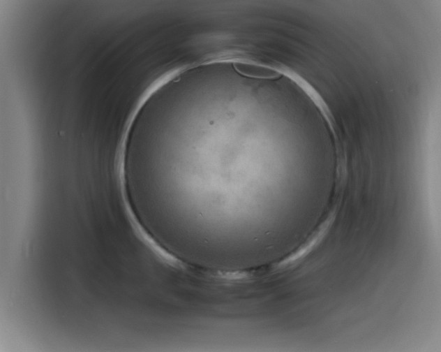 X0000116140957200911231308