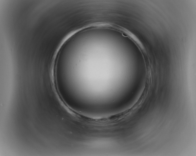 X0000116140959200911231308