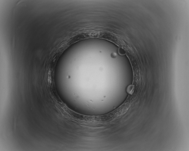 X0000116140962200911231308
