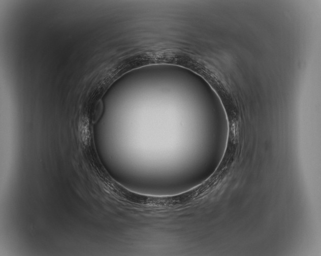 X0000116140963200911231308
