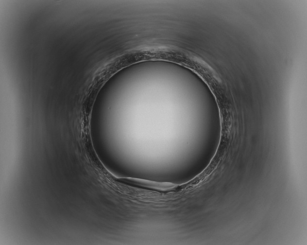 X0000116140966200911231308