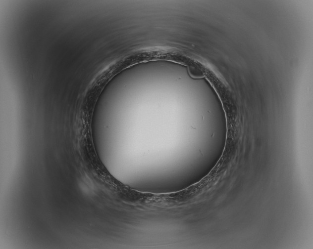 X0000116140967200911231308