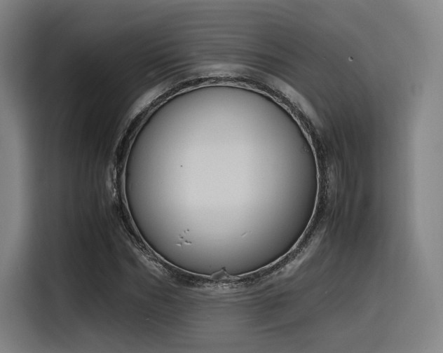 X0000116140970200911231308