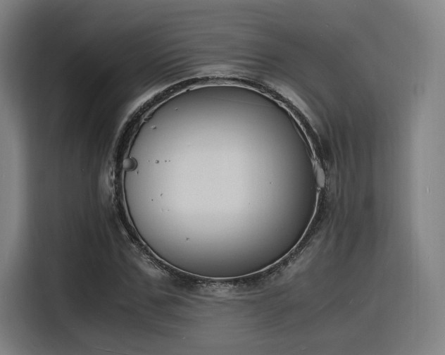 X0000116140971200911231307