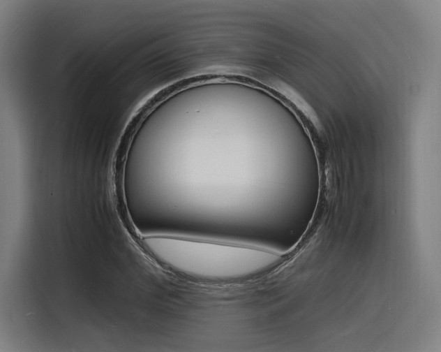 X0000116140972200911231307