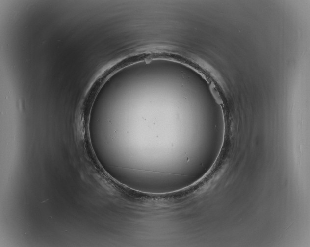X0000116140973200911231307