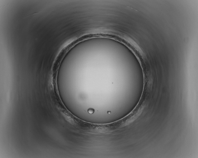 X0000116140974200911231307