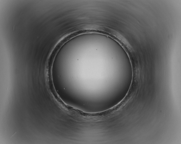 X0000116140976200911231307