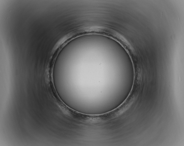 X0000116140978200911231307