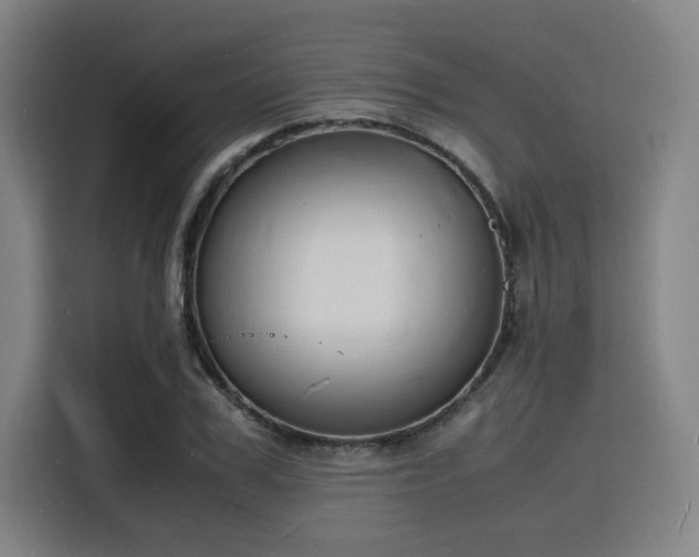 X0000116140979200911231307