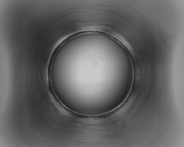 X0000116140980200911231307